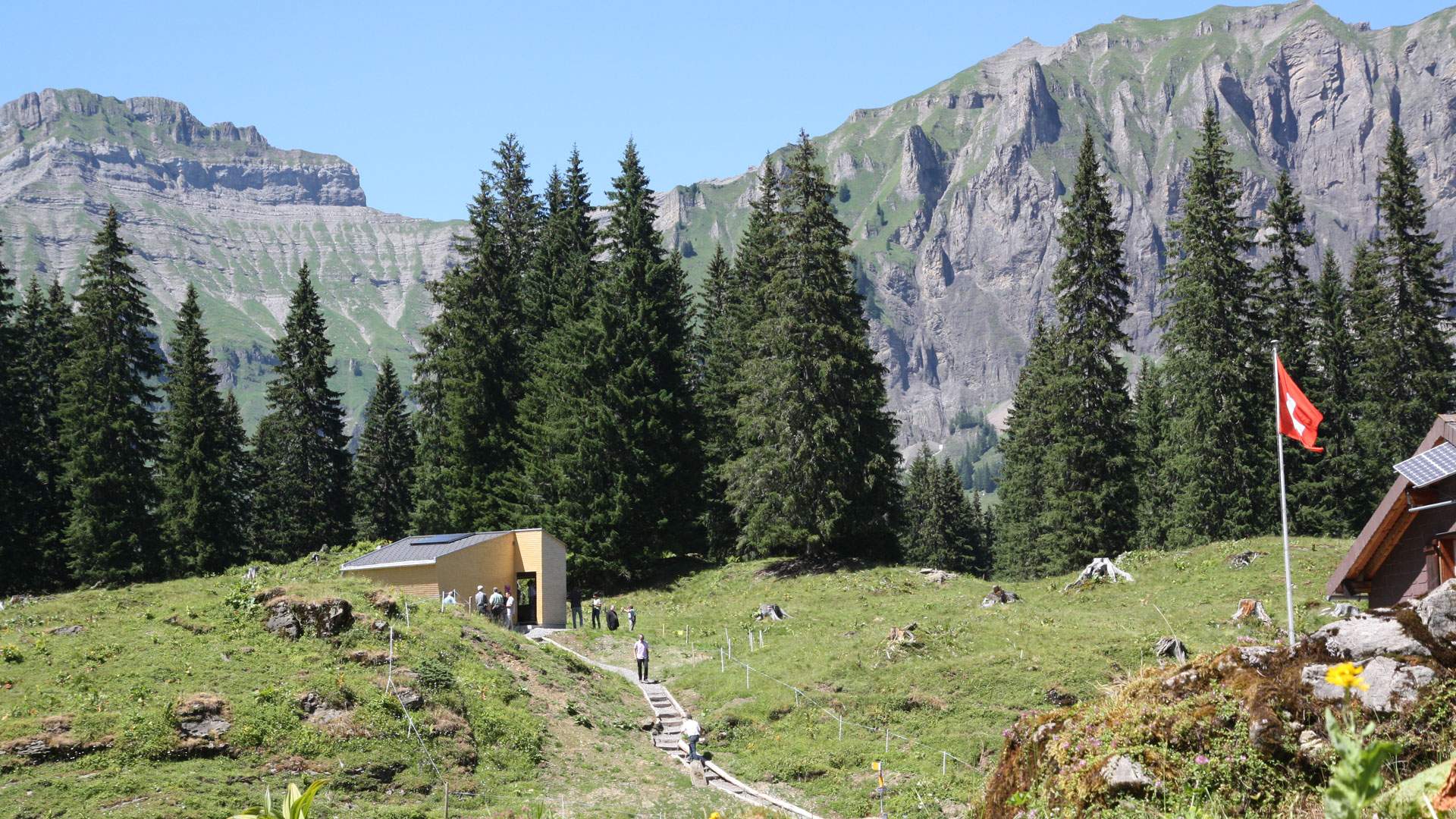 switzerland foundations promote both humanity and nature