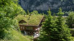 Maison individuelle végétalisée en Suisse