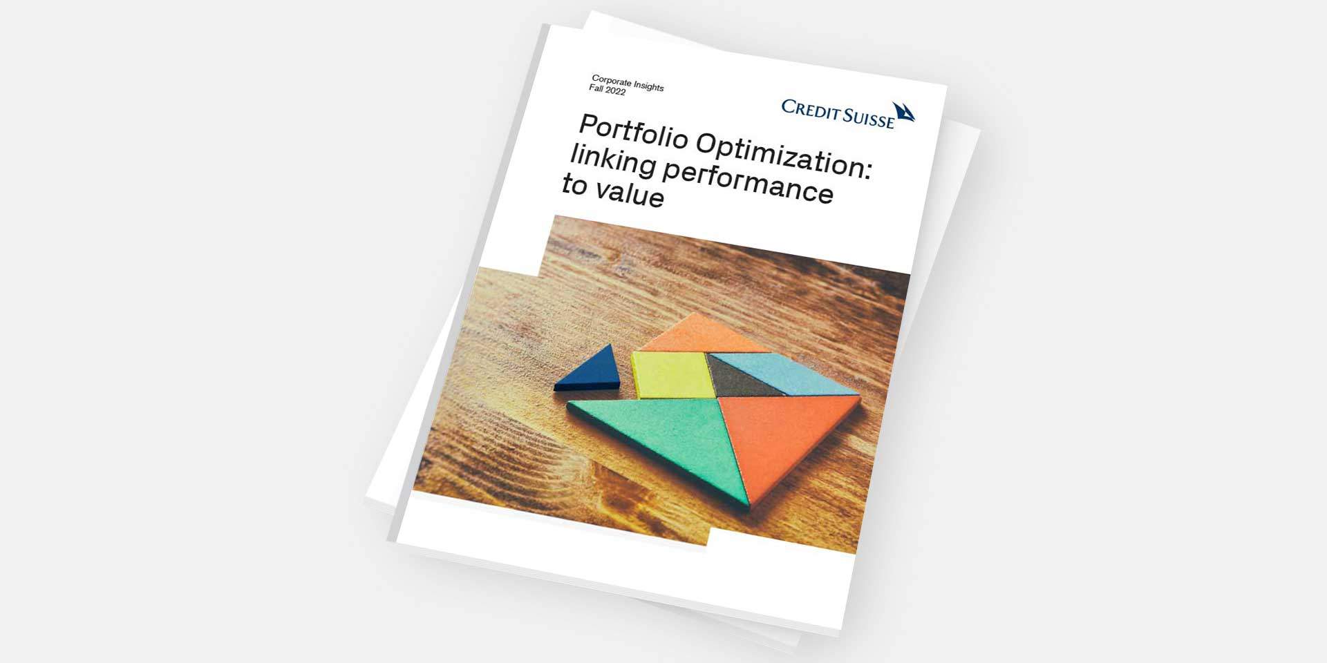 Portfolio Optimization:  linking performance to value